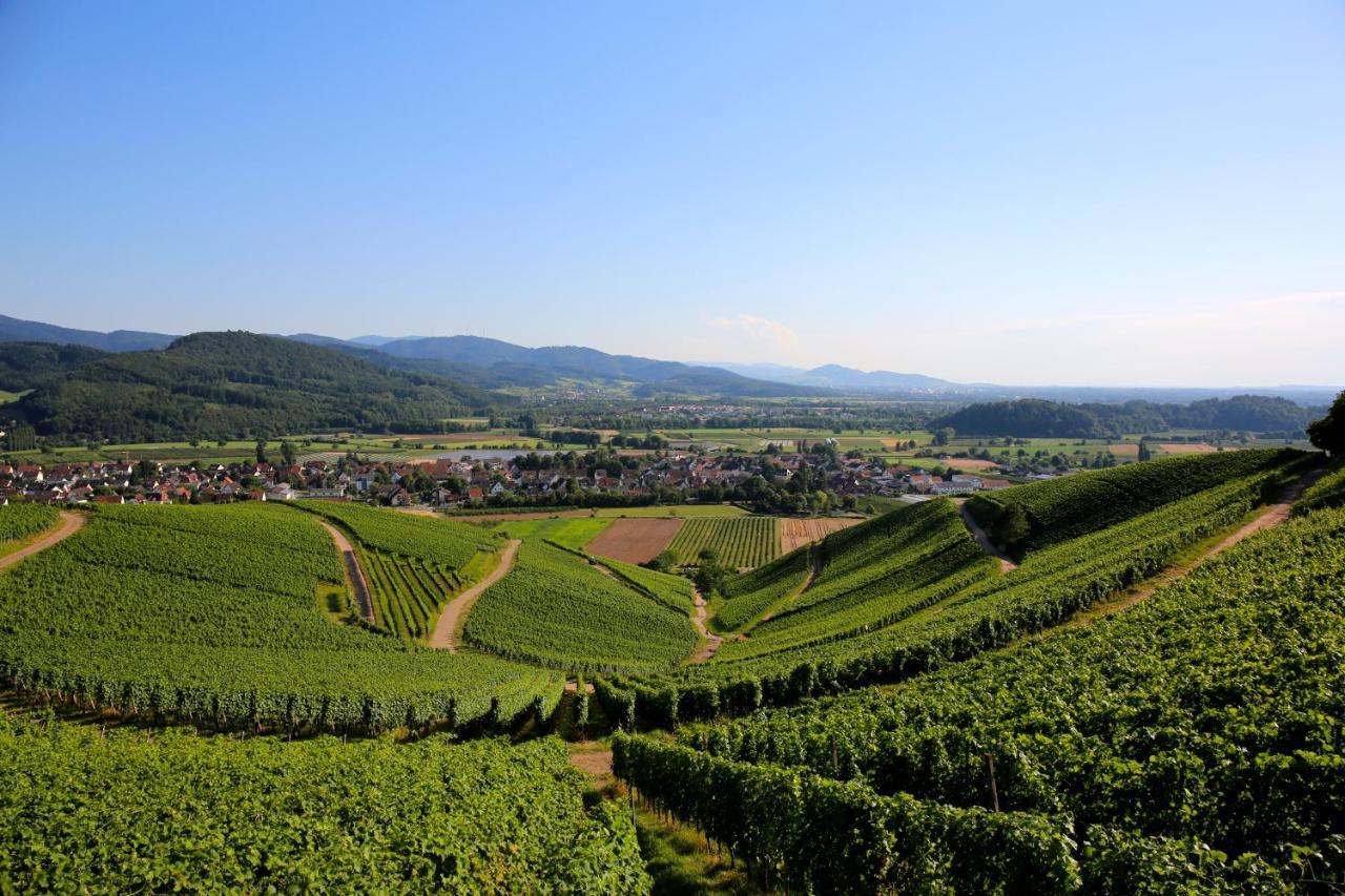 Annas Stube - Boutique Design Bauernhof Villa Waldkirch Bagian luar foto